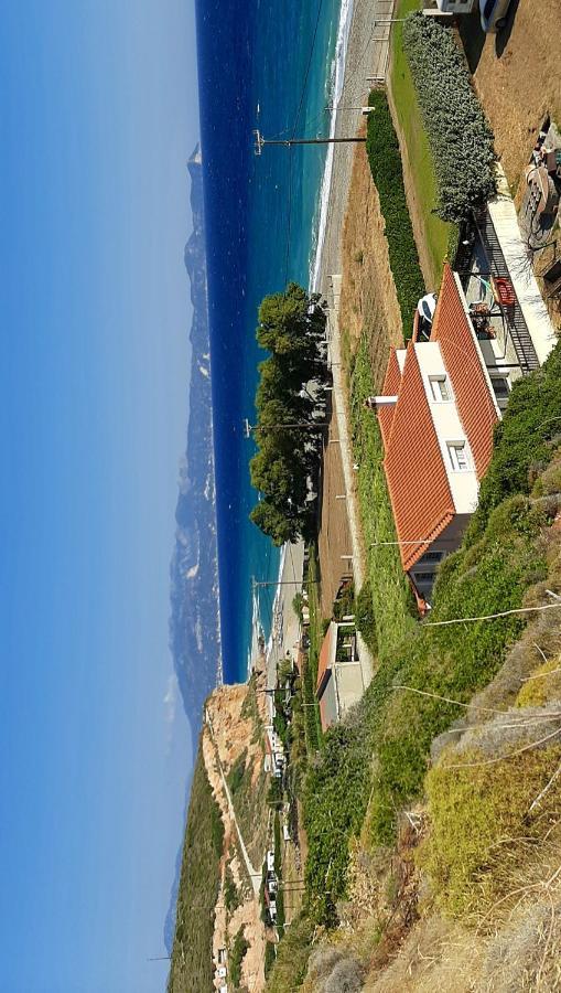 מורטרי Villa Dimitra מראה חיצוני תמונה